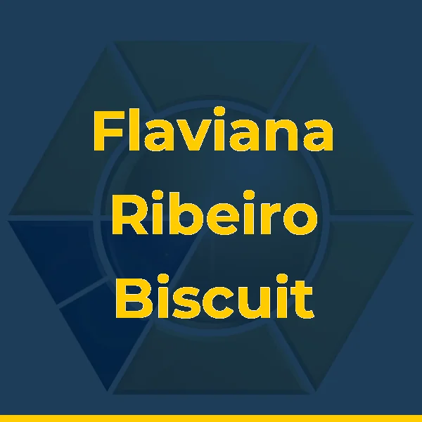 Logo de Flaviana Ribeiro Biscuit