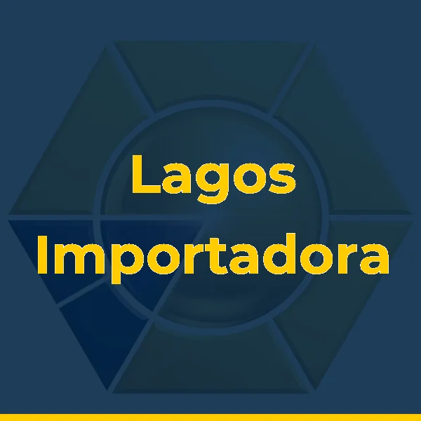 Logo de Lagos Importadora