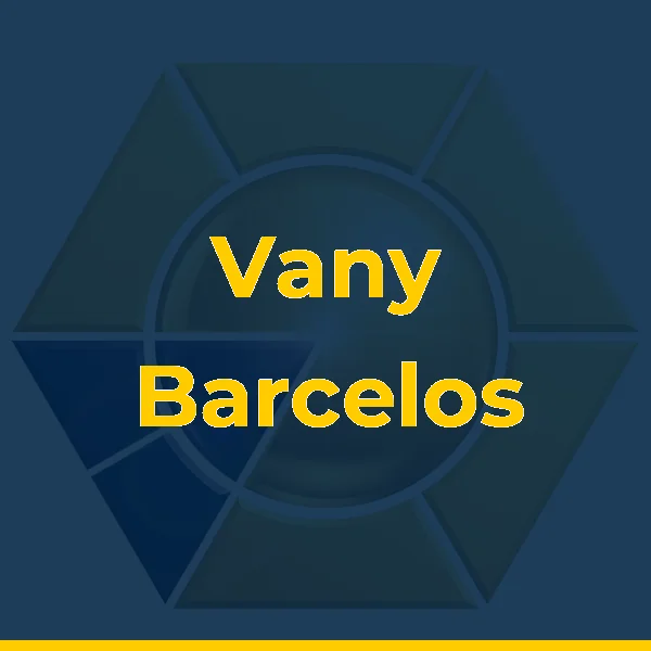Logo de Vany Barcelos sobrancelhas, micropigmentação e cursos araruama