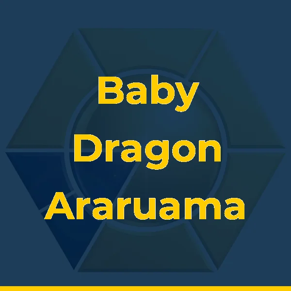 Logo de Baby Dragon Araruama