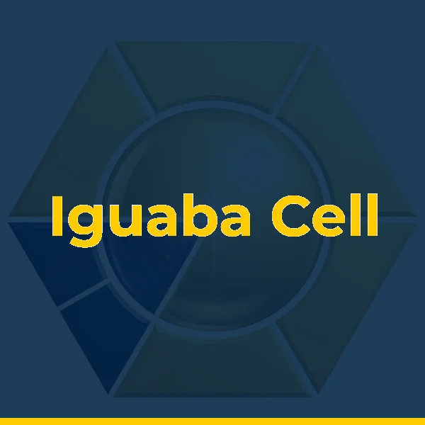 Logo de Iguaba Cell