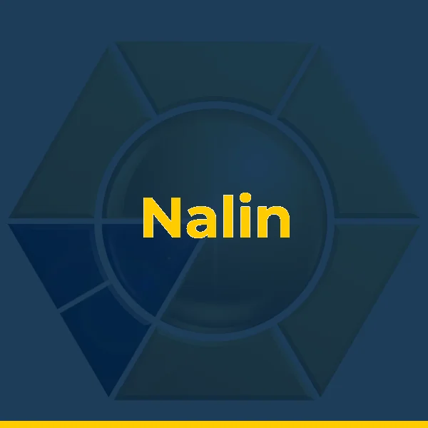 Logo de Nalin
