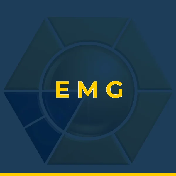 E M G COMERCIO E SERVICOS ADMINISTRATIVOS LTDA