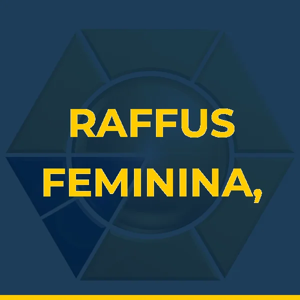 Logo de RAFFUS FEMININA, MASCULINA, INFANTIL, CAMA MESA BANHO E DECORAÇÃO. Abra seu crediário com a gente e compre em 6X SEM ENTRADA.