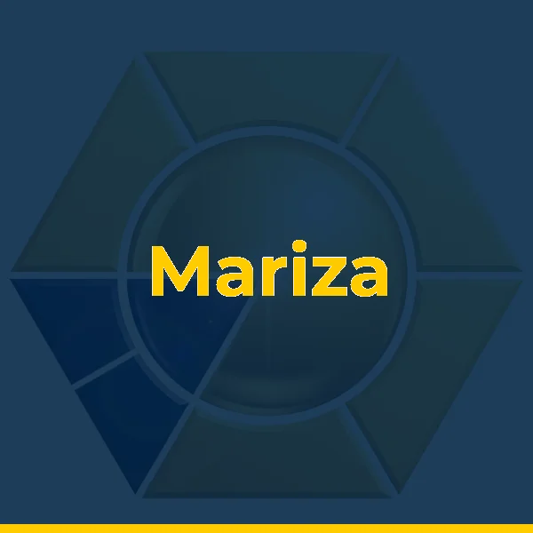 Logo de Mariza