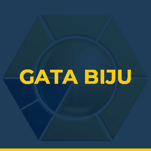 Logo de GATA BIJU