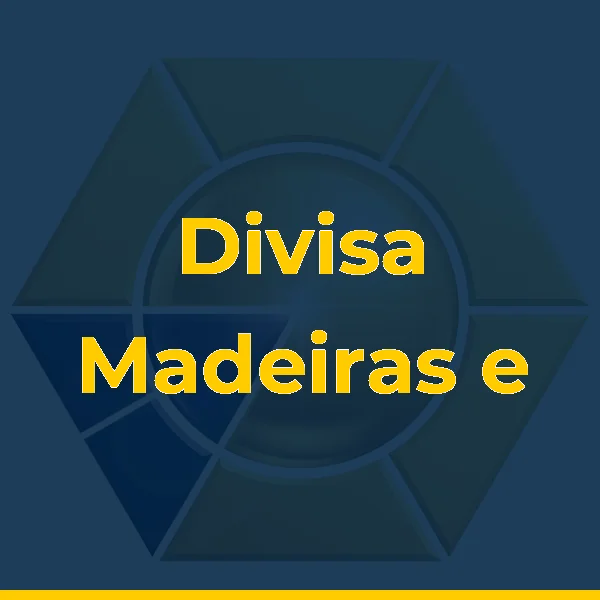 Divisa Madeiras e Materiais de Construção