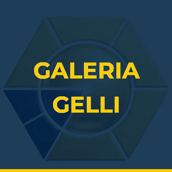 Logo de GALERIA GELLI