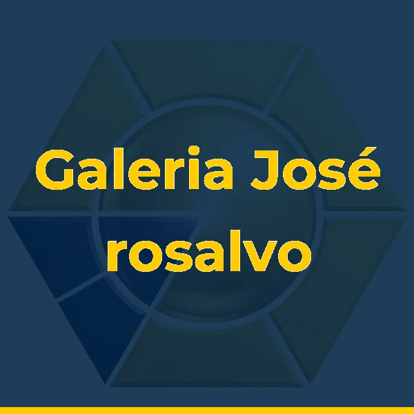 Logo de Galeria José rosalvo Regadas