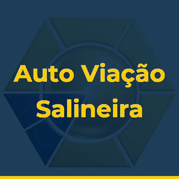 Auto Viação Salineira