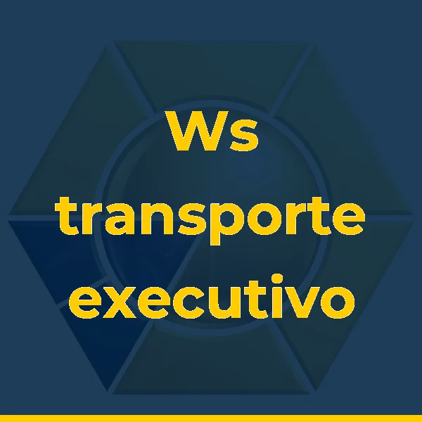 Logo de Ws transporte executivo