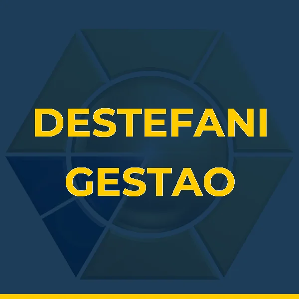 DESTEFANI GESTAO ASSISTENCIAL