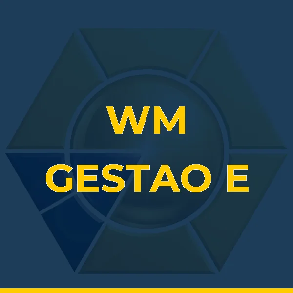 WM GESTAO E LOGISTICA