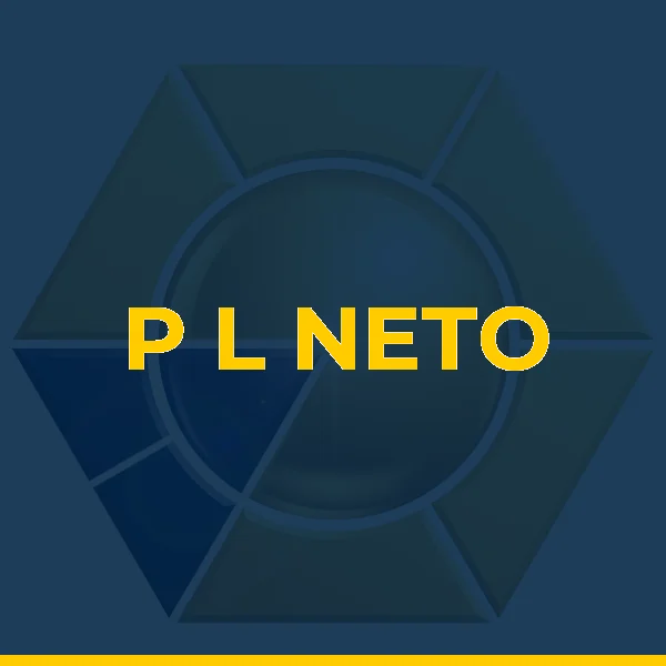 P L NETO SERVICOS LTDA