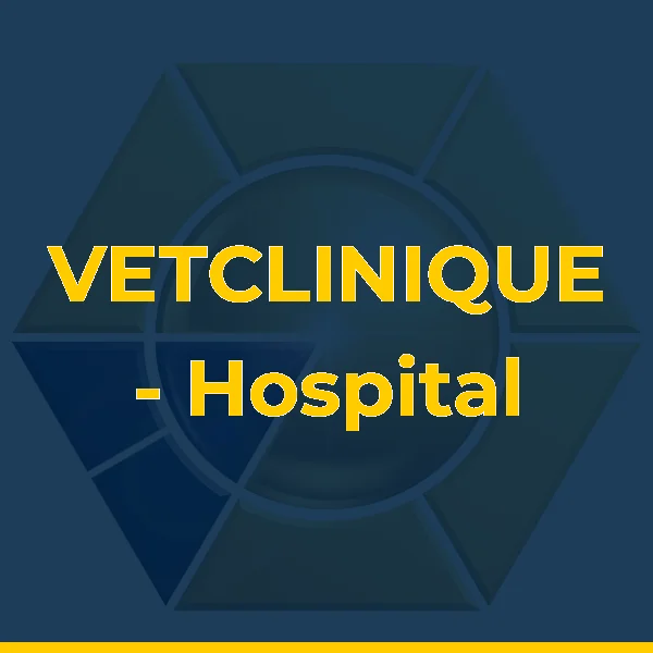 VETCLINIQUE - Hospital Veterinário 24 horas