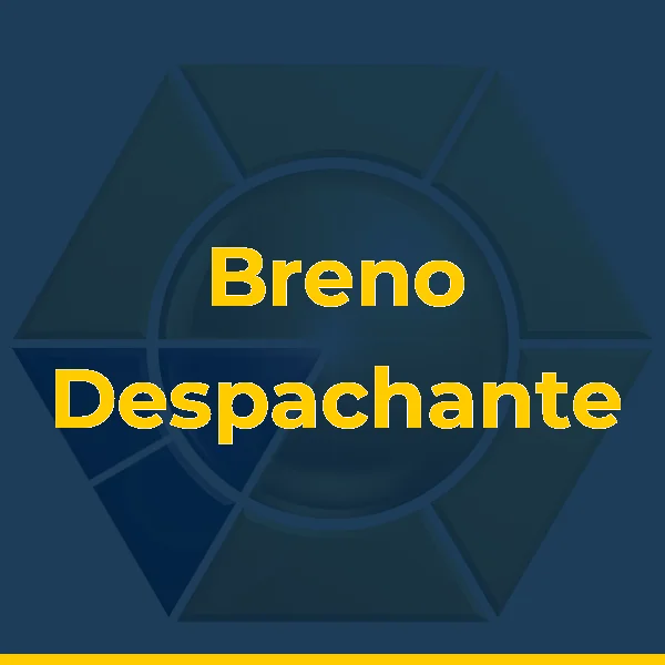 Logo de Breno Despachante veicular RJ