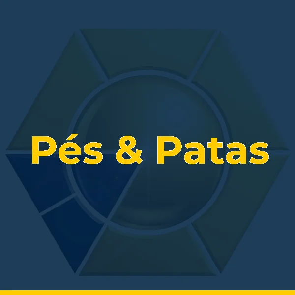 Pés & Patas Bacaxá 1