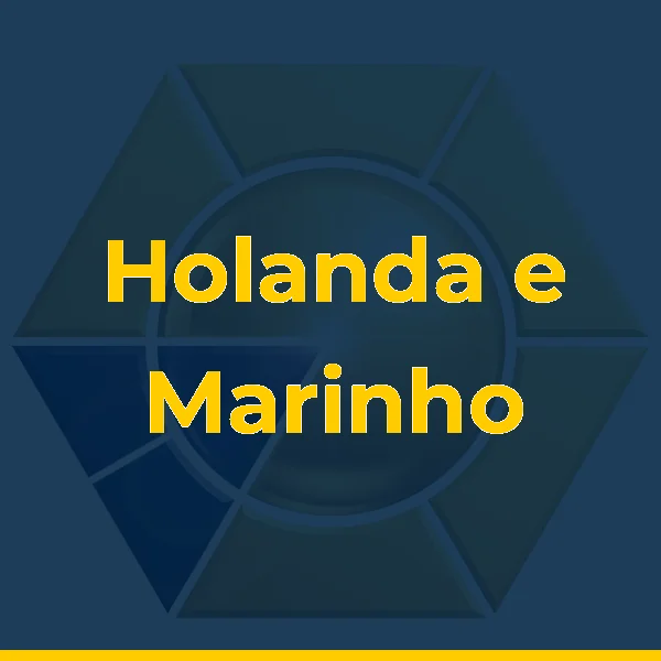 Logo de Holanda e Marinho Advocacia