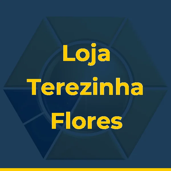 Loja Terezinha Flores