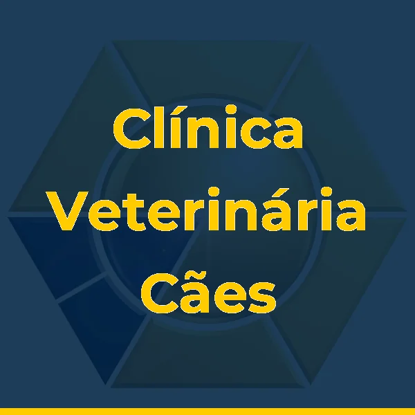 Logo de Clínica Veterinária Cães e Gatos