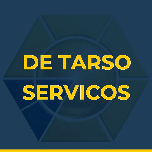 DE TARSO SERVICOS