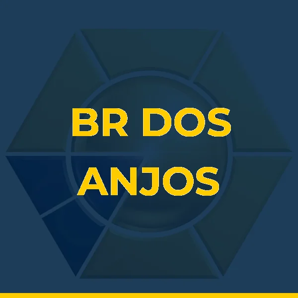 Logo de BR DOS ANJOS AUTO CENTER