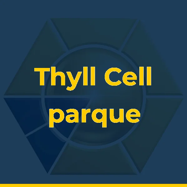 Logo de Thyll Cell parque Imperial