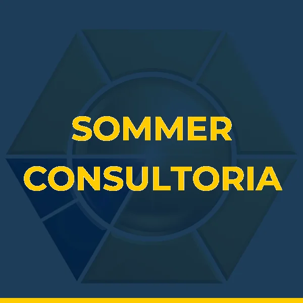 SOMMER CONSULTORIA