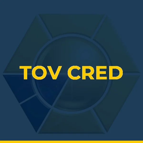Logo de TOV CONSULTORIA UNIPESSOAL LTDA