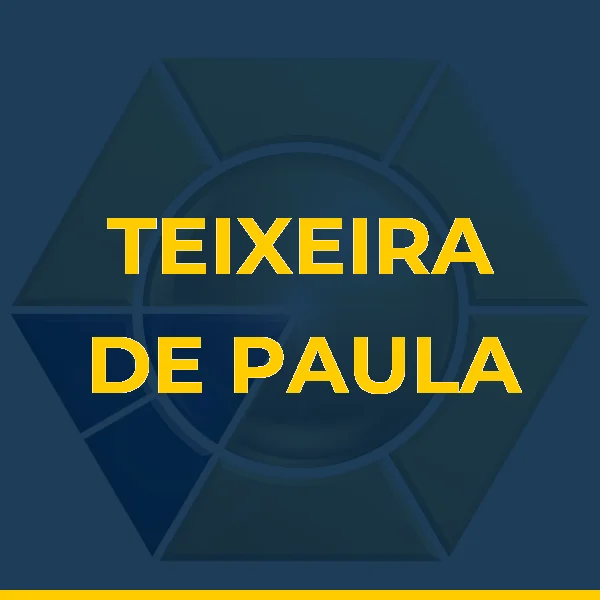 Logo de TEIXEIRA DE PAULA CONSULTORIA E ASSESSORIA LTDA