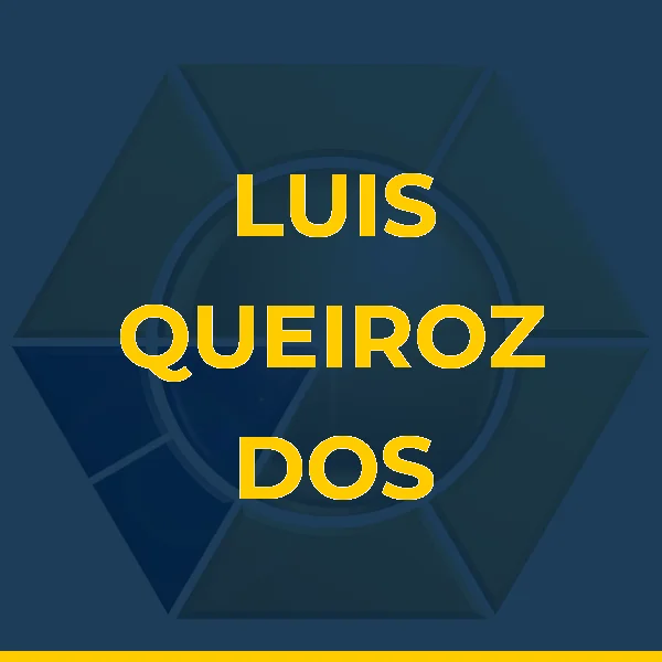 Logo de LUIS QUEIROZ DOS ANJOS