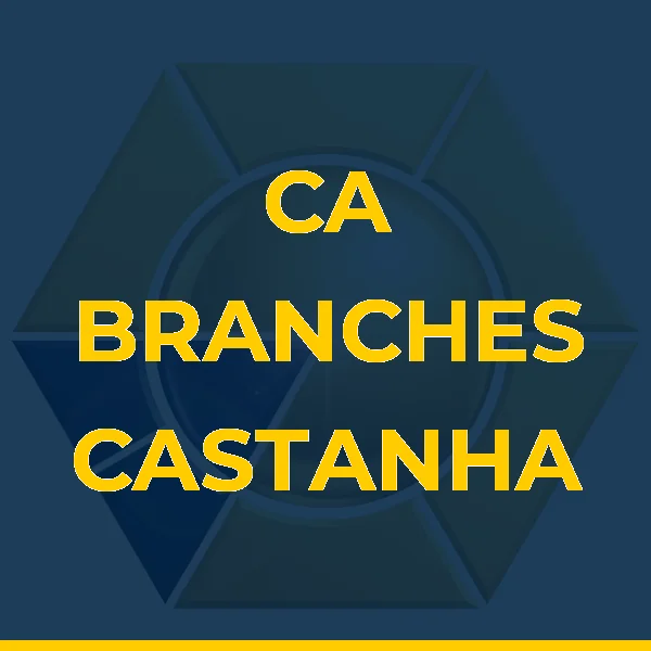 Logo de A. M. SOARES