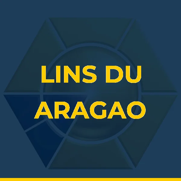 Logo de LIMA E ARAGAO SERVICOS DE SAUDE LTDA