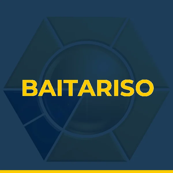 Logo de N APARECIDA FERREIRA LTDA