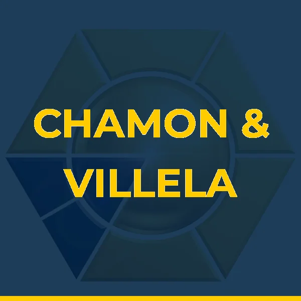 CHAMON & VILLELA MEDICINA LTDA