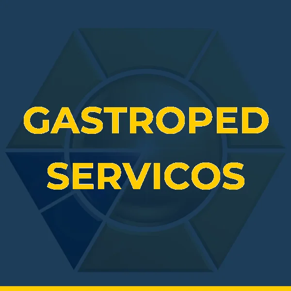 GASTROPED SERVICOS MEDICOS LTDA