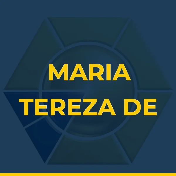 Logo de MARIA TEREZA DE OLIVEIRA M AMARAL LTDA