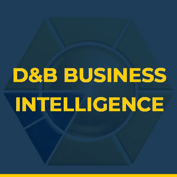 Logo de D&B BUSINESS INTELLIGENCE LTDA