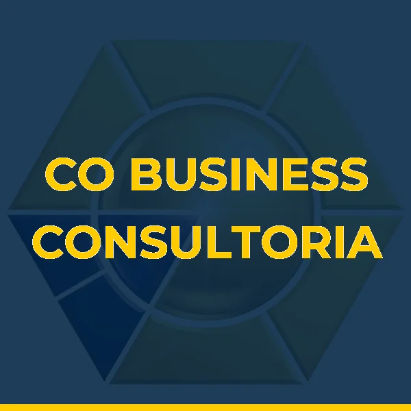 CO BUSINESS CONSULTORIA E GESTAO DE NEGOCIOS LTDA