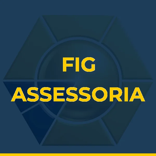 FIG ASSESSORIA EMPRESARIAL