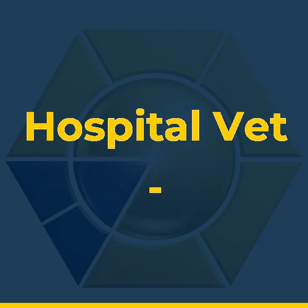 Hospital Vet - Hospital Veterinário 24 Horas