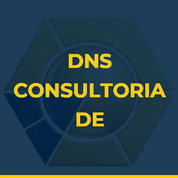 DNS CONSULTORIA DE NEGOCIOS