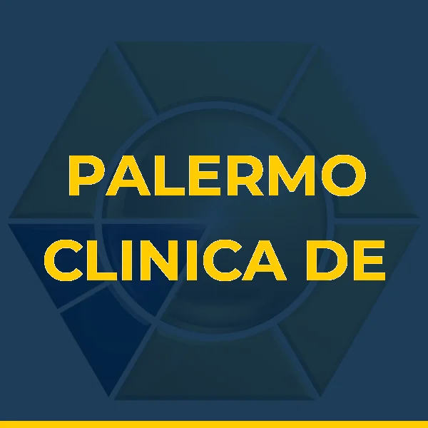 Logo de PALERMO CLINICA DE ATENDIMENTO MEDICO LTDA