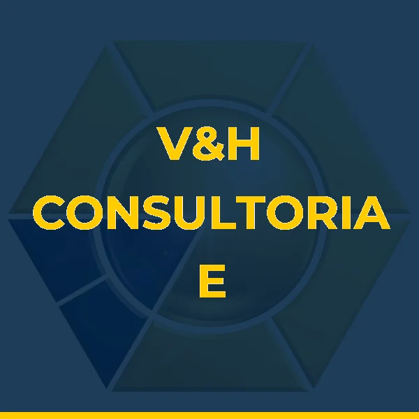 V&H CONSULTORIA E PARTICIPACOES
