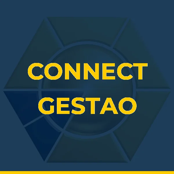 CONNECT GESTAO EMPRESARIAL