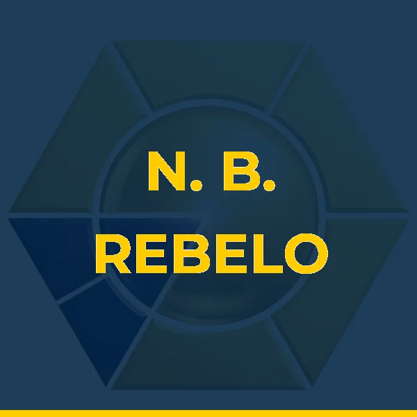 N. B. REBELO COMERCIO E SERVICOS LTDA