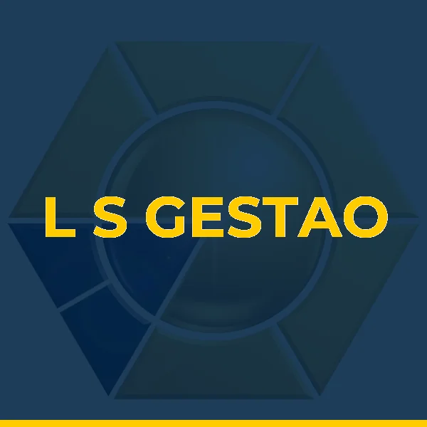 L S GESTAO E PLANEJAMENTO