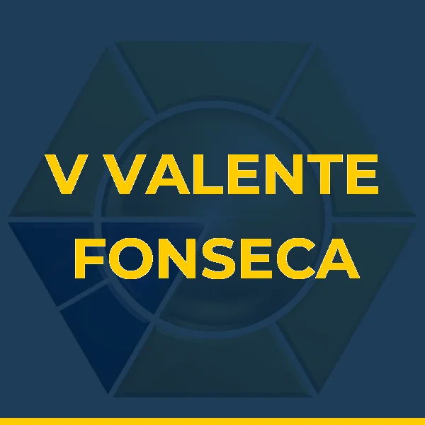 V VALENTE FONSECA CONSULTORIA