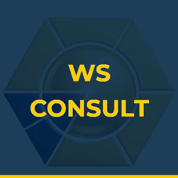 WS CONSULT