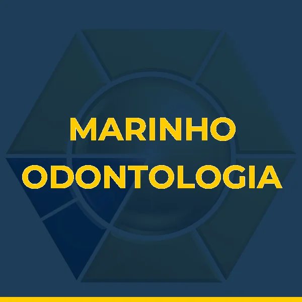 Logo de MARIA ILCAR MACEDO FARIAS TARGINO E CIA LTDA